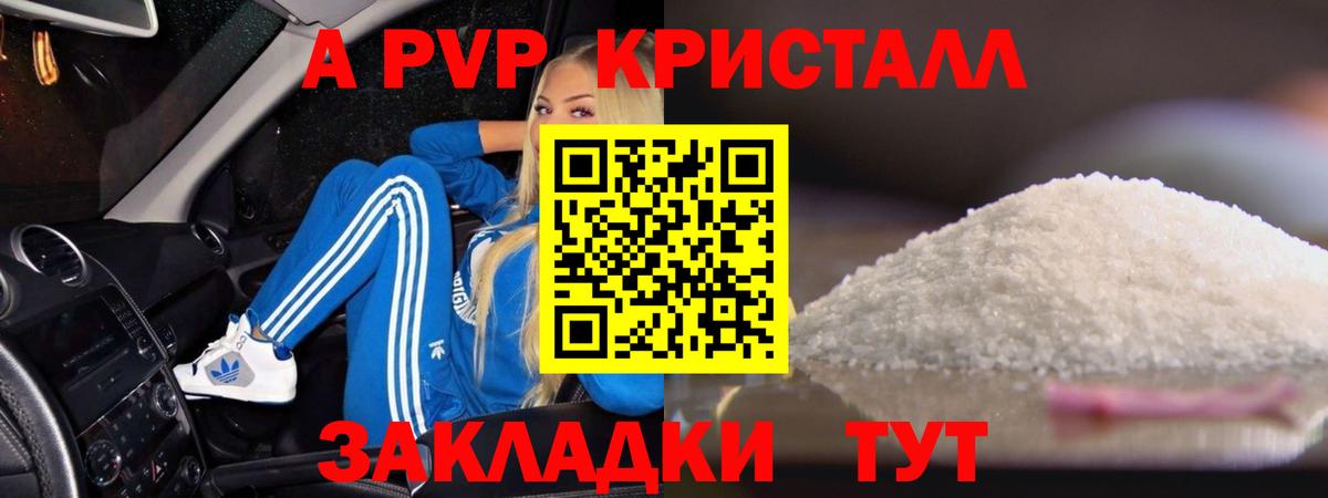 A PVP СК КРИС  Альфа ПВП СК КРИС  Сертолово  Альфа ПВП VHQ  Вход с VPN 
